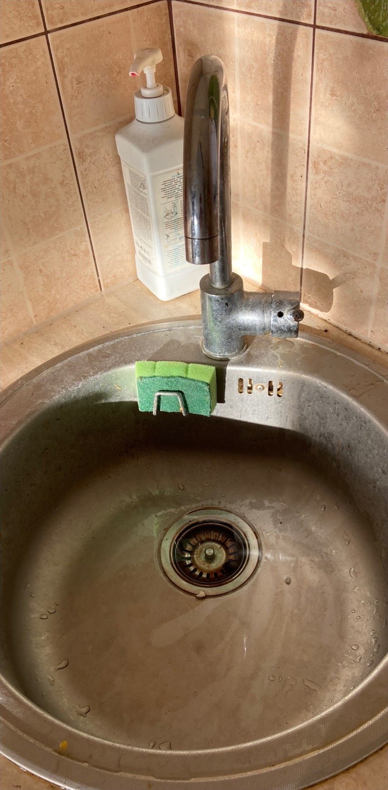 Kriauklės valymas (prieš)