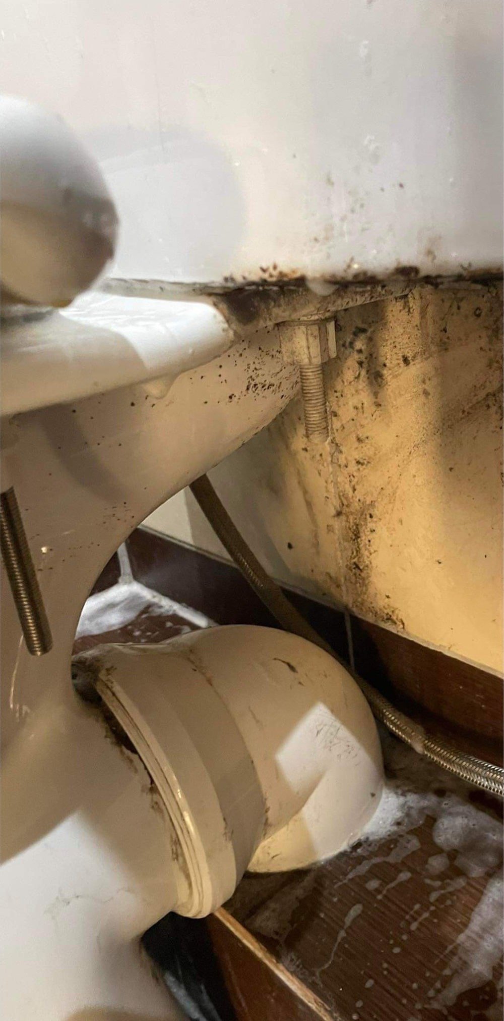 Unitazo valymas (prieš)